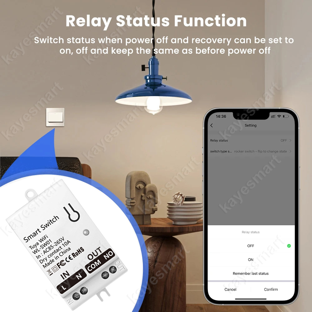 Tuya WiFi Smart Switch Module  - Smart Accessories recensie en prijs